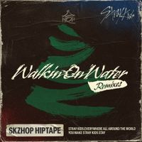 Stray Kids - Walkin On Water (Remixes)