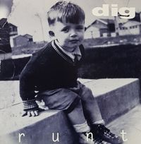Dig - Runt
