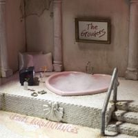 The Growlers - Casual Acquaintances