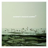 Terminal 11 - Fractured Sunshine