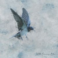 You Win Again Gravity - Into the Dancing Blue