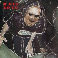 Rog&eacute;rio Skylab - O Rei do Cu