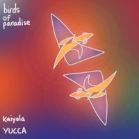 Kaiyola - birds of paradise