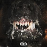Boldy James - Rabies
