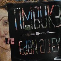 Timbuk 3 - Eden Alley