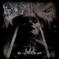 The Everdawn - Poems - Burn the Past