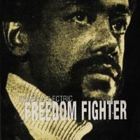 Bowery Electric - Freedom Fighter