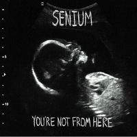 Senium - You&rsquo;re Not From Here