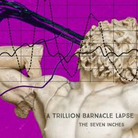 A Trillion Barnacle Lapse - The Seven Inches