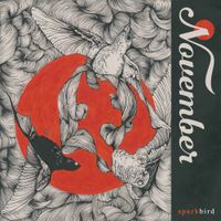 Sparkbird - November