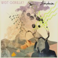 Wot Gorilla? - Kebnekaise