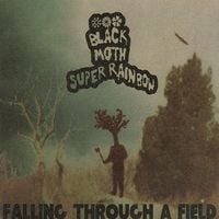 Black Moth Super Rainbow - Falling Through a Field