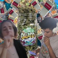 Mobtrap - Fumez Gelato