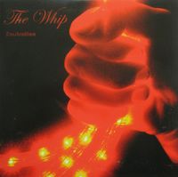 The Whip - Frustration