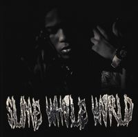 pintscored - slime whole world