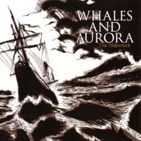 Whales And Aurora - The Shipwreck