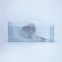 HUH YUNJIN - 해파리 [jellyfish]