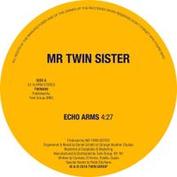 Mr Twin Sister - Echo Arms