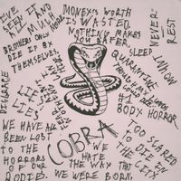 Slow Rage - Cobra