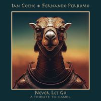 Fernando Perdomo - Never Let Go
