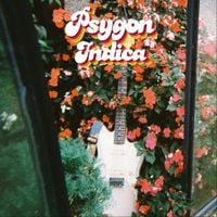 Psygon - Indica