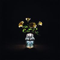 Billy Strings - In The Morning Light