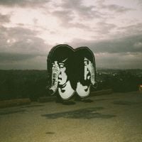 Death from Above 1979 - The Physical World (Eleventh Anniversary Deluxe Edition)