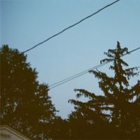 Bellwethr - Something In July