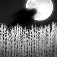 Cureton - Visitor