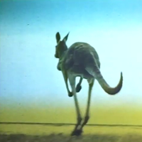 Kratzwerk - Ｋ​ａ​ｎ​ｇ​ａ​ｒ​ｏ​ｏ