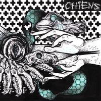 Chiens - Vultures Are Our Future
