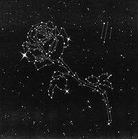 LIBERATO - LIBERATO III