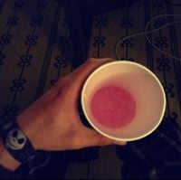fakemink - pj