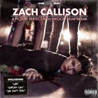 Zach Callison - A Picture Perfect Hollywood Heartbreak