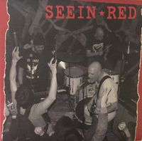 Seein Red - We Need To Do More Than Just Music.