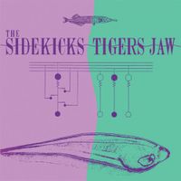 Tigers Jaw - The Sidekicks / Tigers Jaw