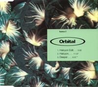 Orbital - Radiccio 2