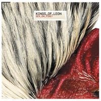 Kings of Leon - Sex on Fire