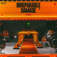 Versa - Irreparable Damage