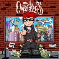 Calle 24 - ONDEADO$