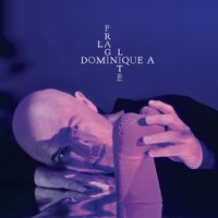 Dominique A - La fragilit&eacute;