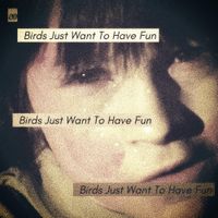 &aelig; - Birds Just Want To Have Fun