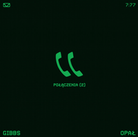 Gibbs - Połączenia 2