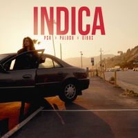 Paluch - INDICA