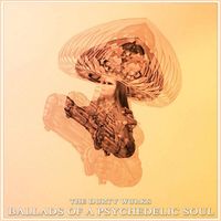 The Durty Wurks - Ballads Of A Psychedelic Soul