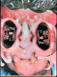Bottom Feeder - Bottom Feeder