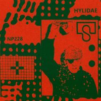 Hylidae - Hylidae