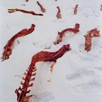 Long John - Snow worms tha mixtape