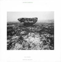Ingram Marshall - Fog Tropes / Gradual Requiem