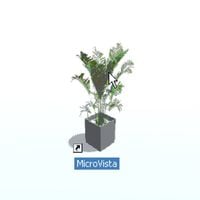 Webinar&trade; - MicroVista